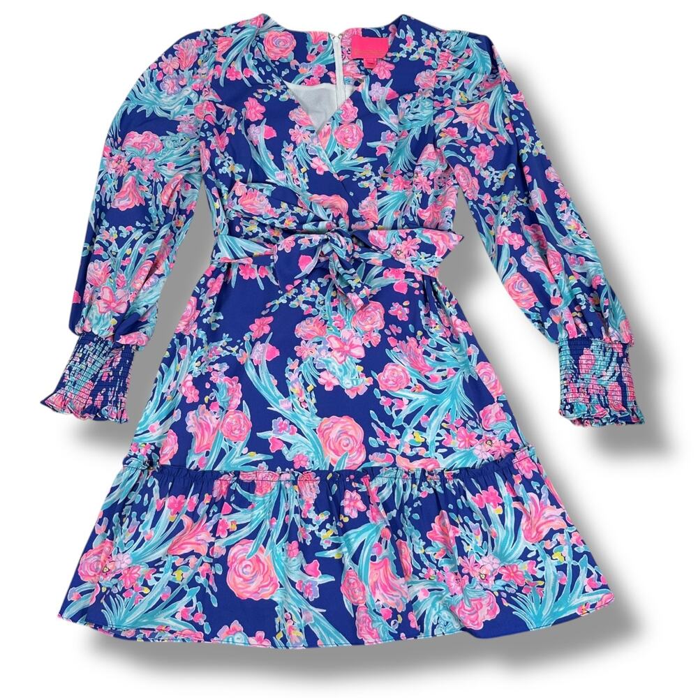 Lilly Pulitzer Rosie Stretch Dress Women’s 4 Corsica Blue Toucan Party Back‎ Zip